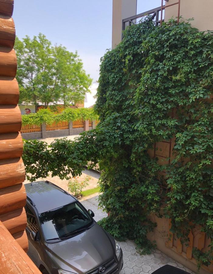 Веселий Кут Hotell Zaliznyi Port Exteriör bild
